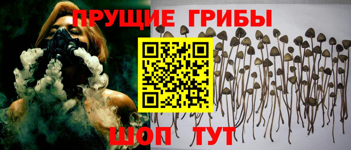 Лабинск  Галлюциногенные грибы Psilocybe  купить наркоту  Вход с VPN 