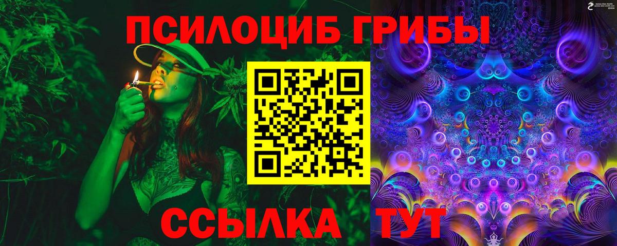 Псилоцибиновые грибы Psilocybe Лабинск